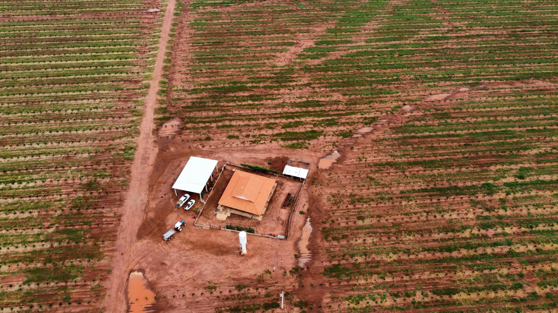 #FA-2470 - Fazenda para Venda em Campina Verde - MG