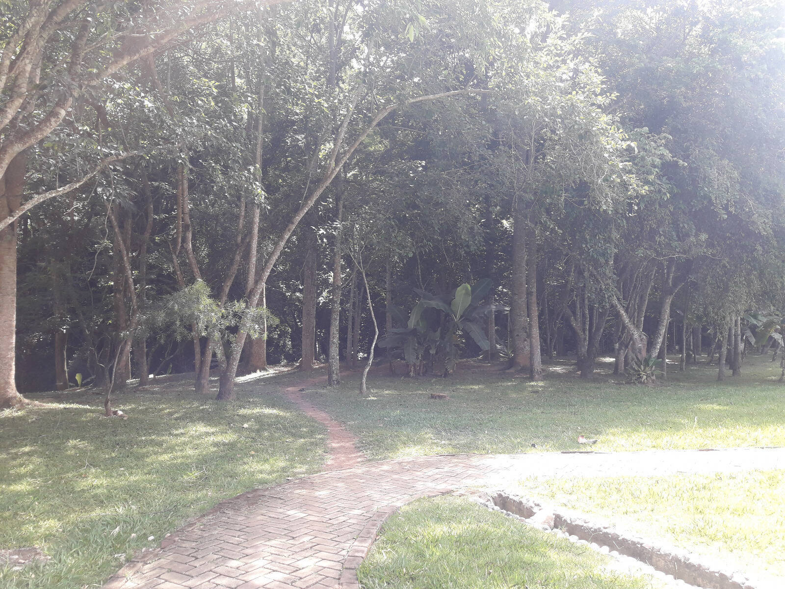 Terreno, 1000 m² - Foto 21