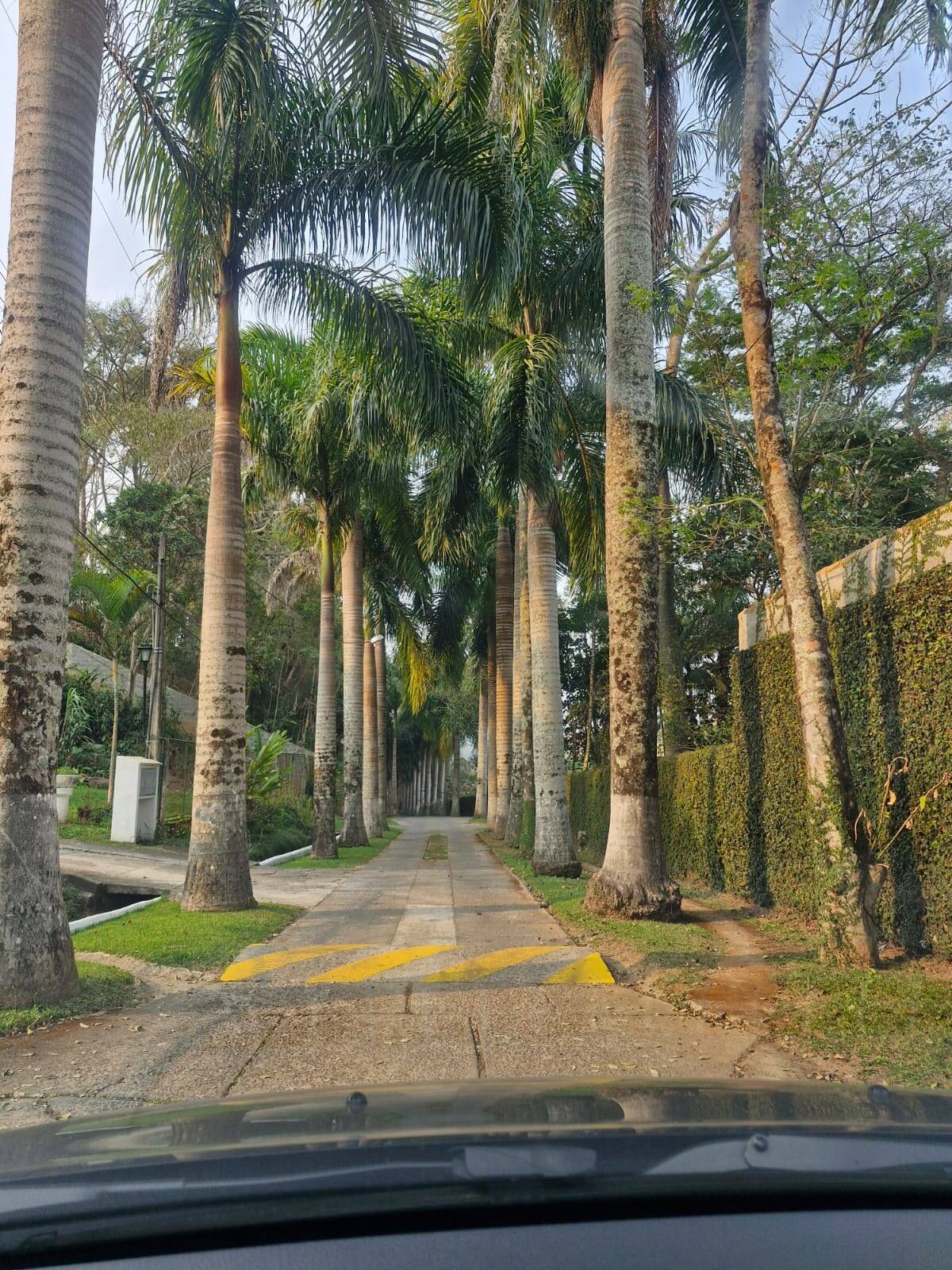 Chácara, 3 quartos, 2000 m² - Foto 1