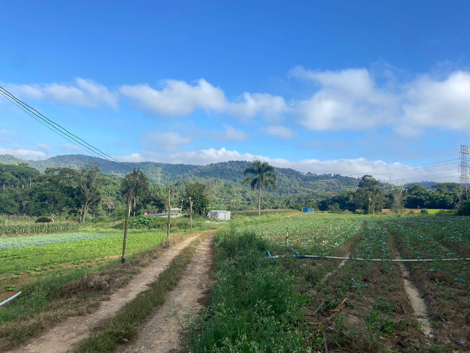 Terreno, 19 hectares - Foto 1