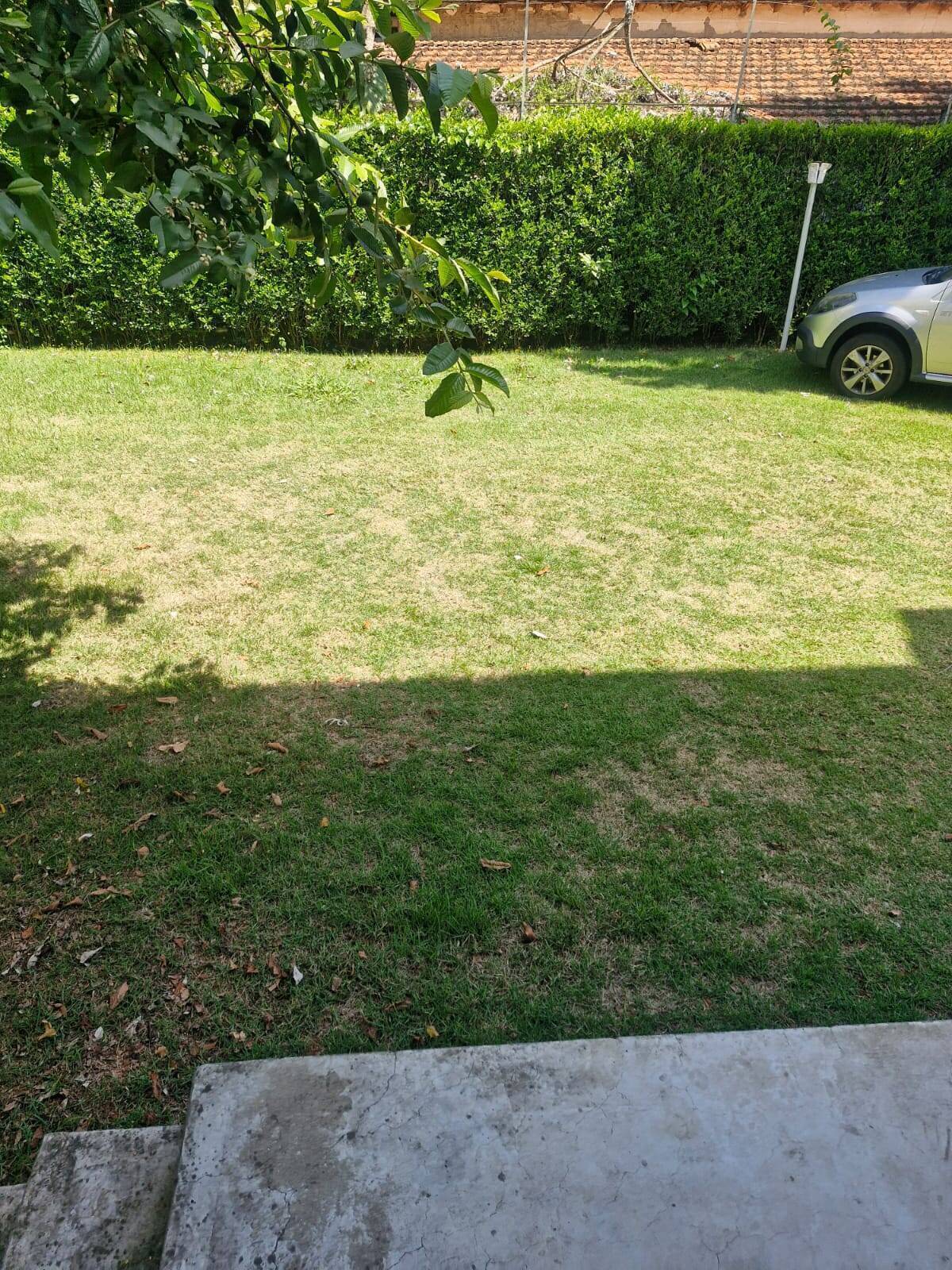 Casa, 3 quartos, 277 m² - Foto 31