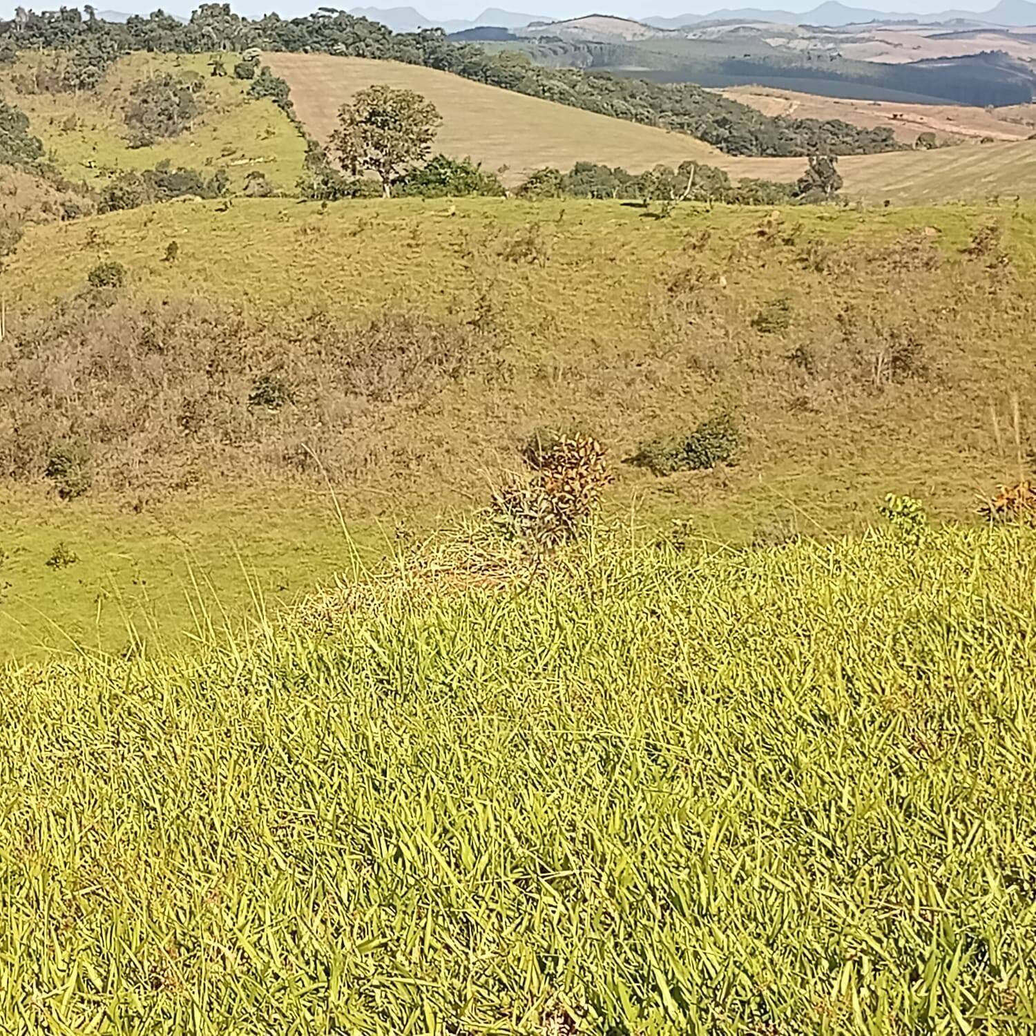 Fazenda, 190 m² - Foto 5