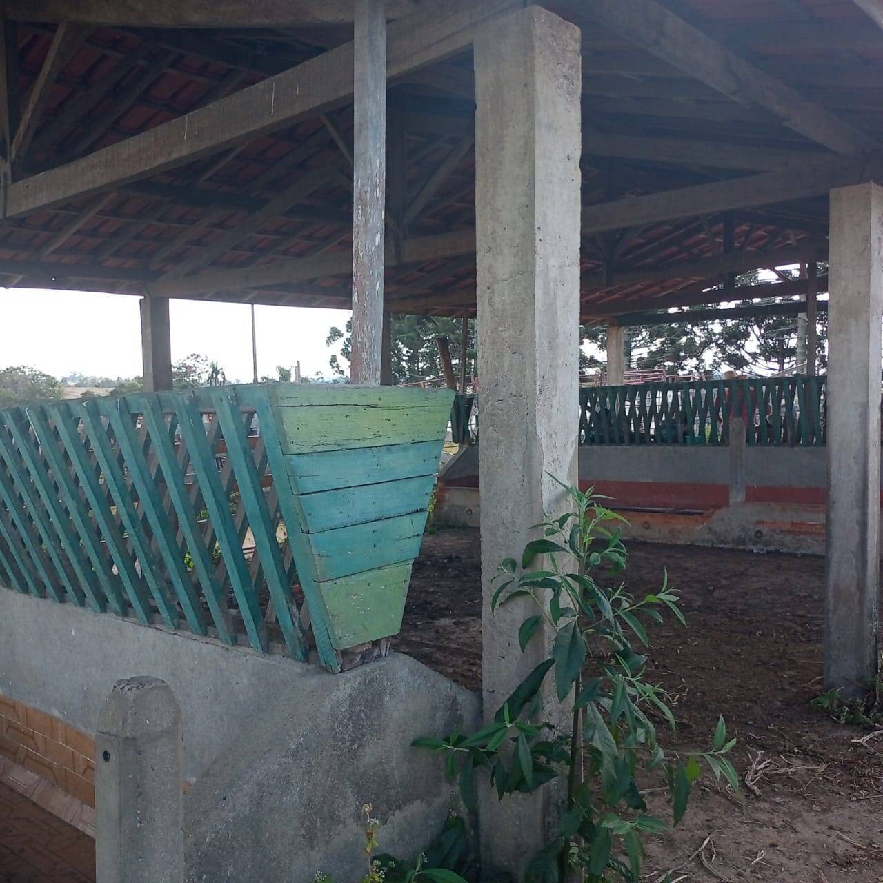 Fazenda, 190 m² - Foto 12