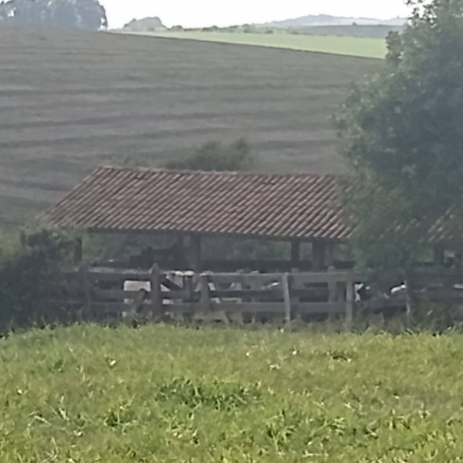 Fazenda, 190 m² - Foto 10