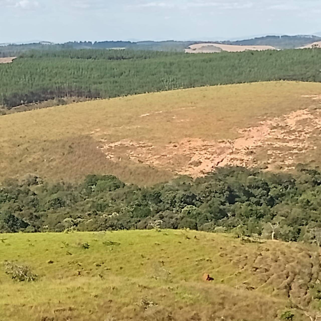 Fazenda, 190 m² - Foto 11