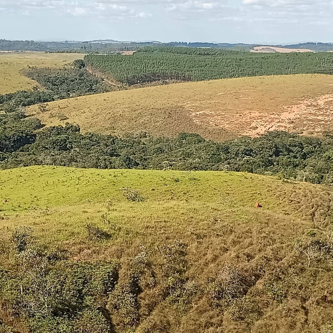 Fazenda, 190 m² - Foto 13