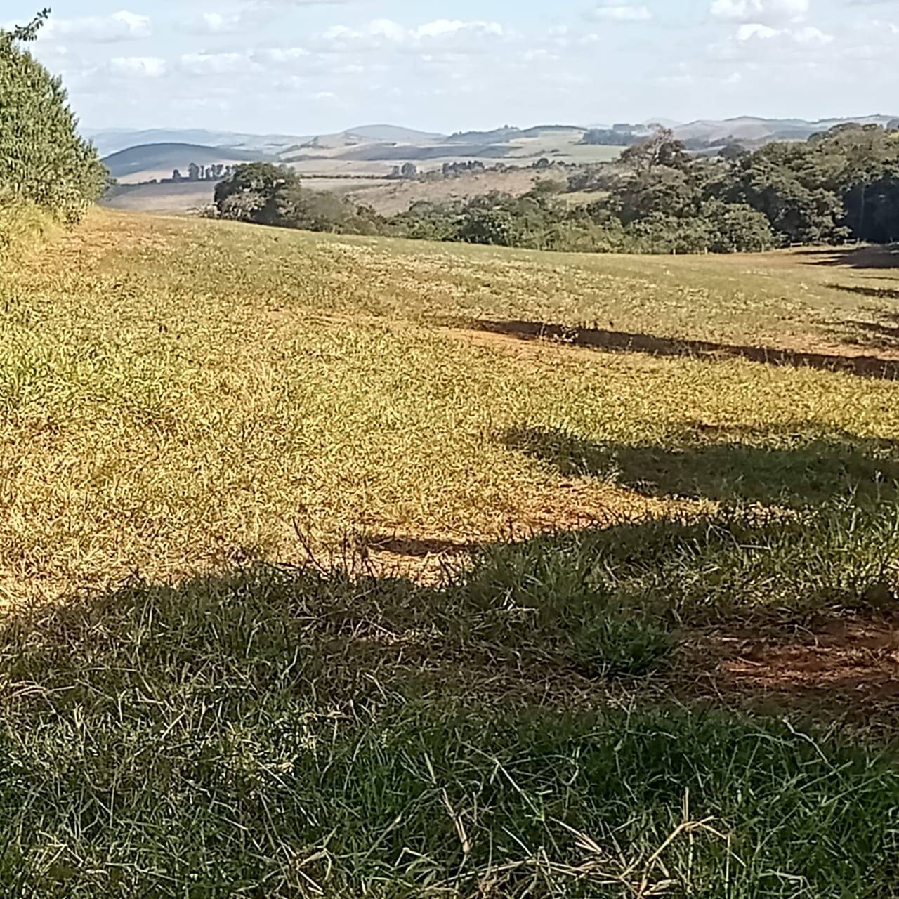 Fazenda, 190 m² - Foto 15