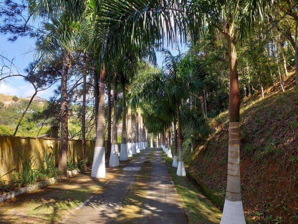 Chácara, 3 quartos, 5350 m² - Foto 7