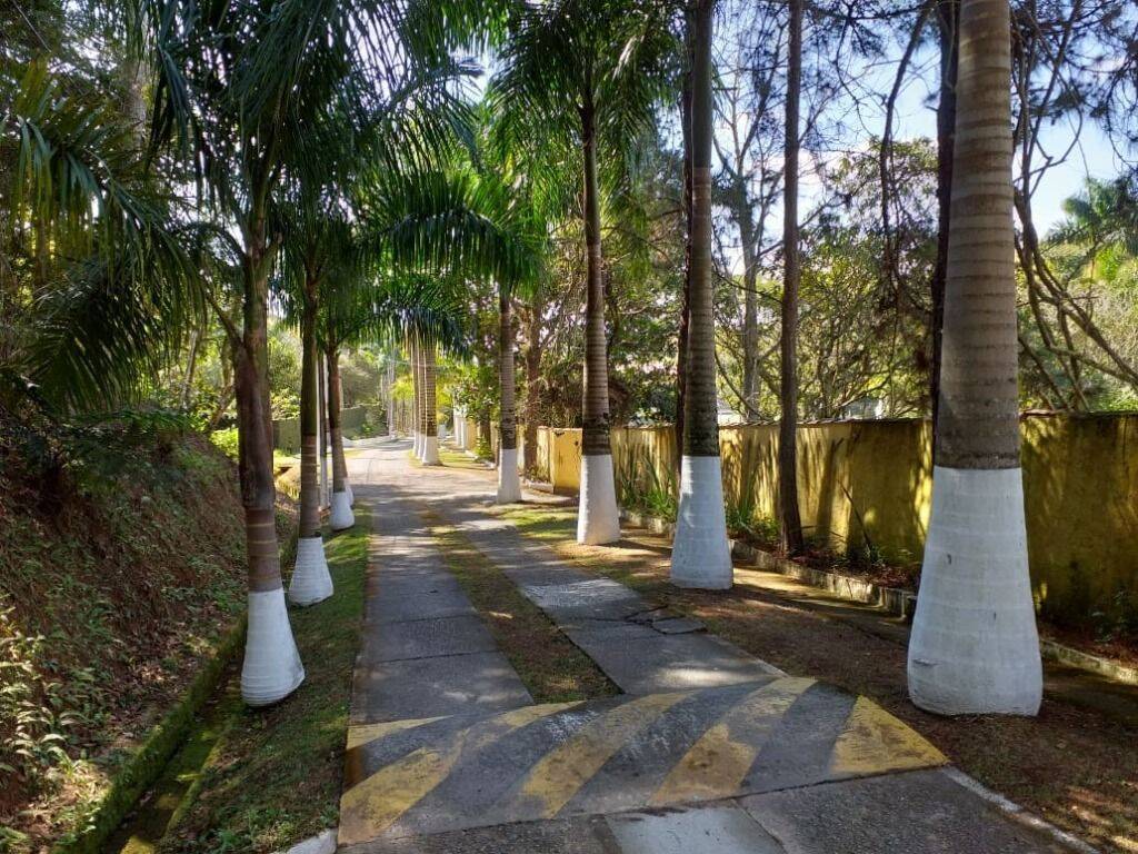 Chácara, 3 quartos, 5350 m² - Foto 39