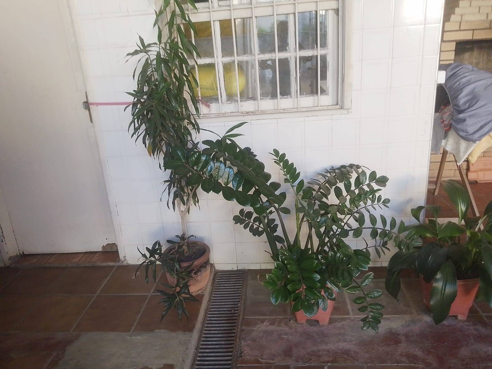 Casa, 4 quartos, 260 m² - Foto 13