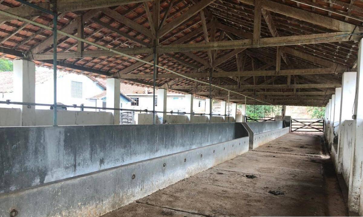 Fazenda, 1051 m² - Foto 8
