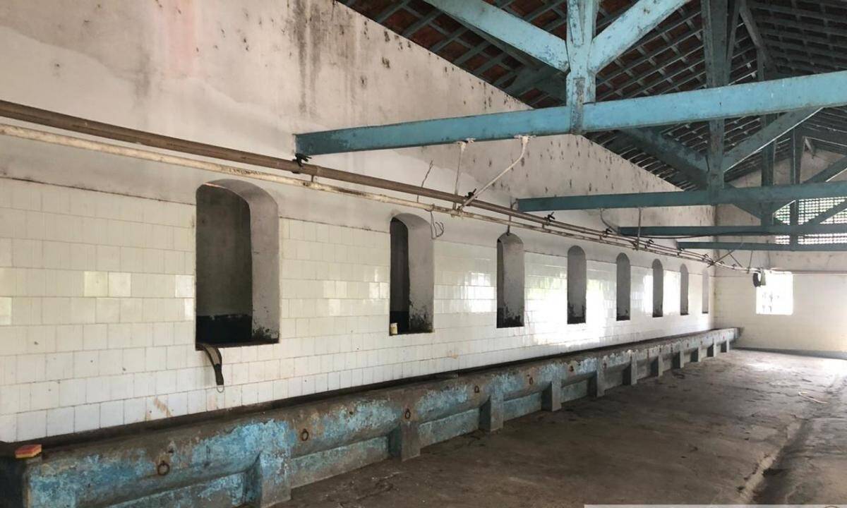 Fazenda, 1051 m² - Foto 11