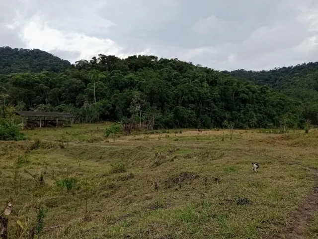 Fazenda, 204 m² - Foto 4