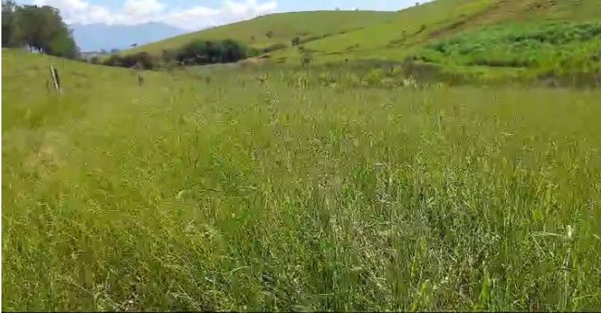 Terreno, 95 m² - Foto 4