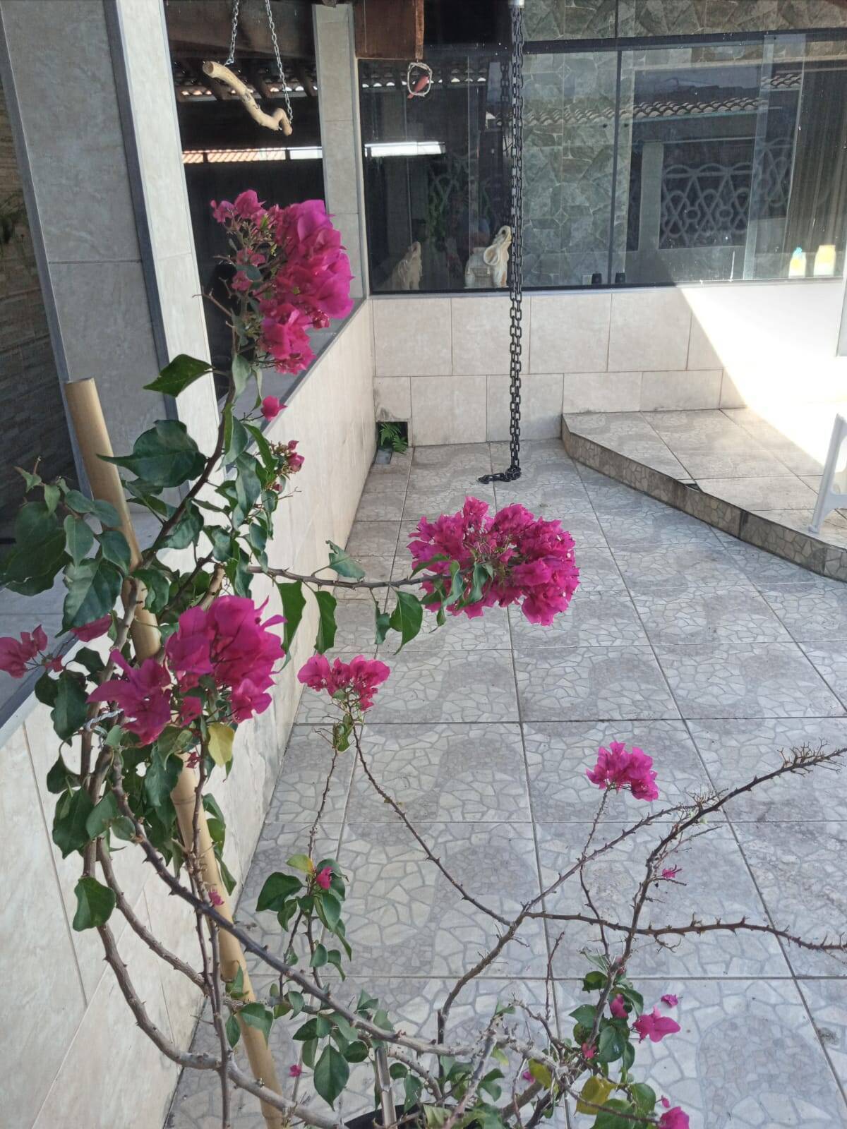 Casa, 2 quartos, 272 m² - Foto 8