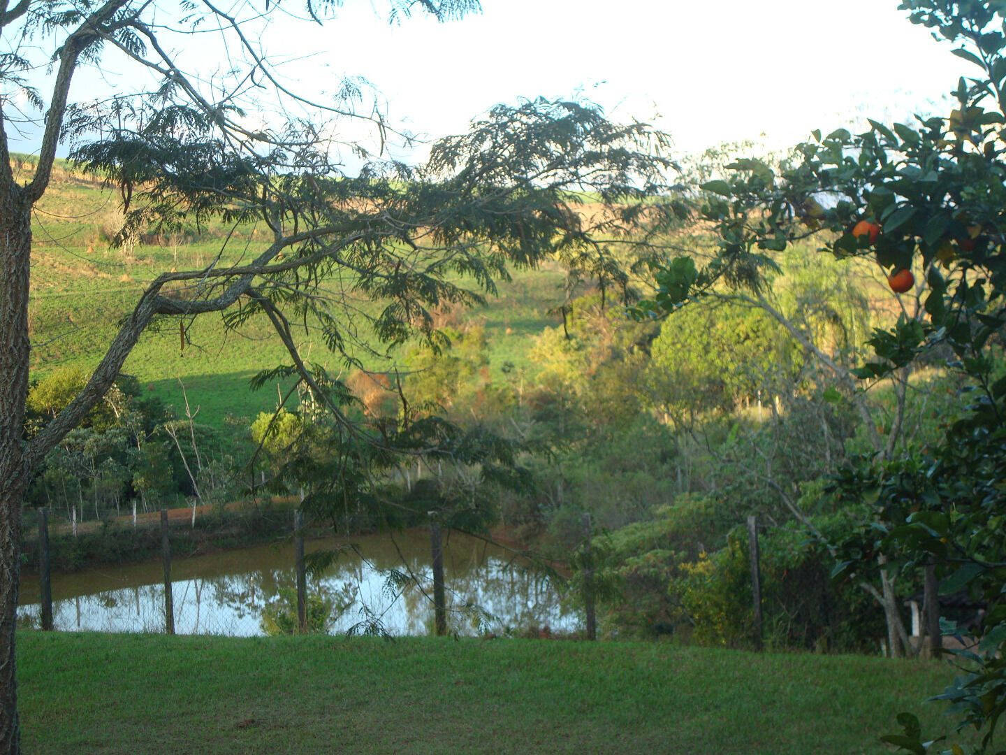 Chácara, 5 quartos, 2 hectares - Foto 3