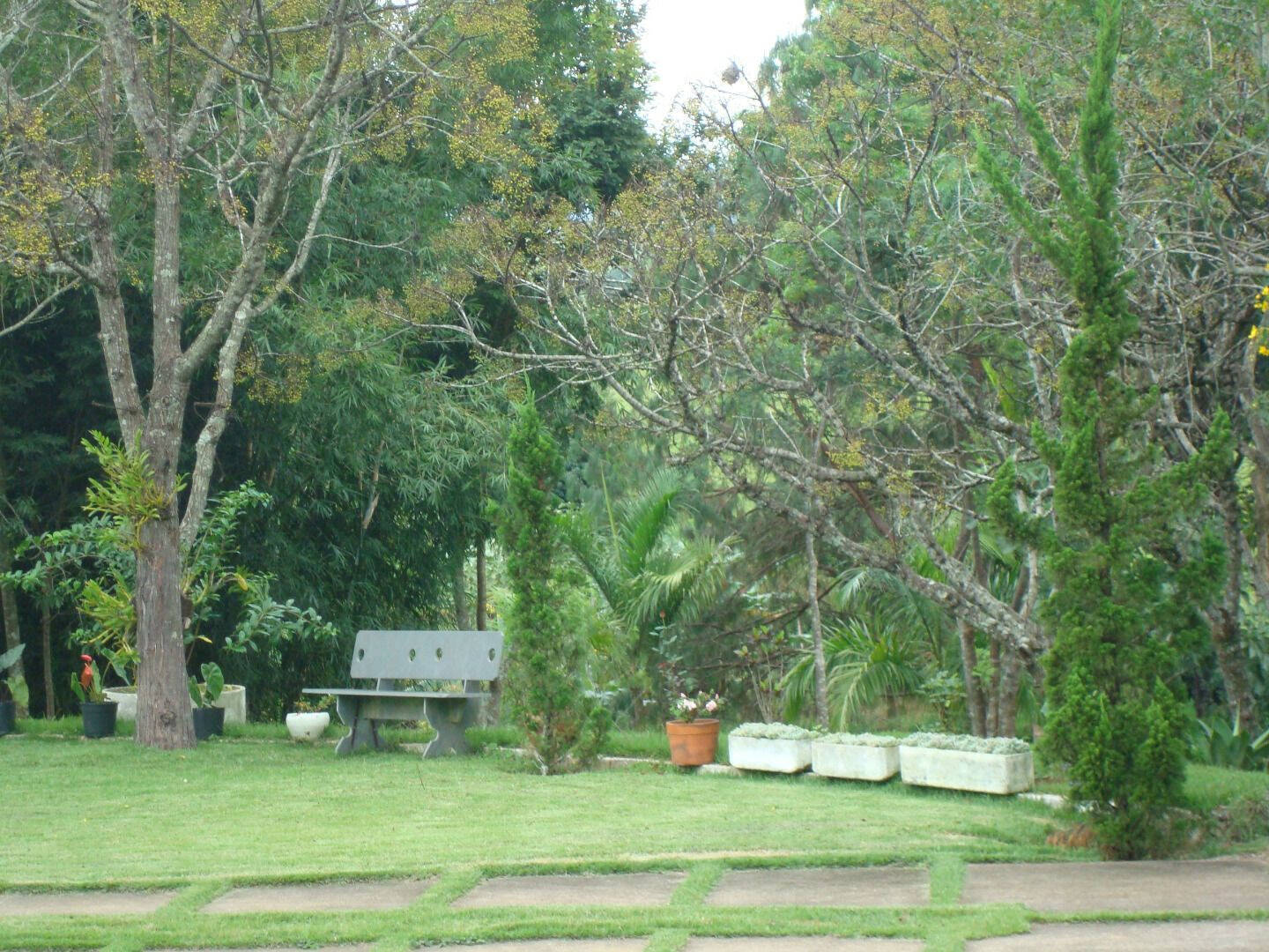 Chácara, 5 quartos, 2 hectares - Foto 6