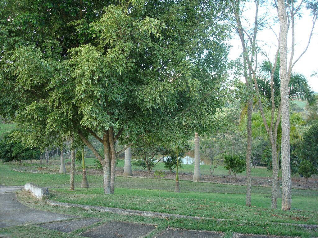 Chácara, 5 quartos, 2 hectares - Foto 14