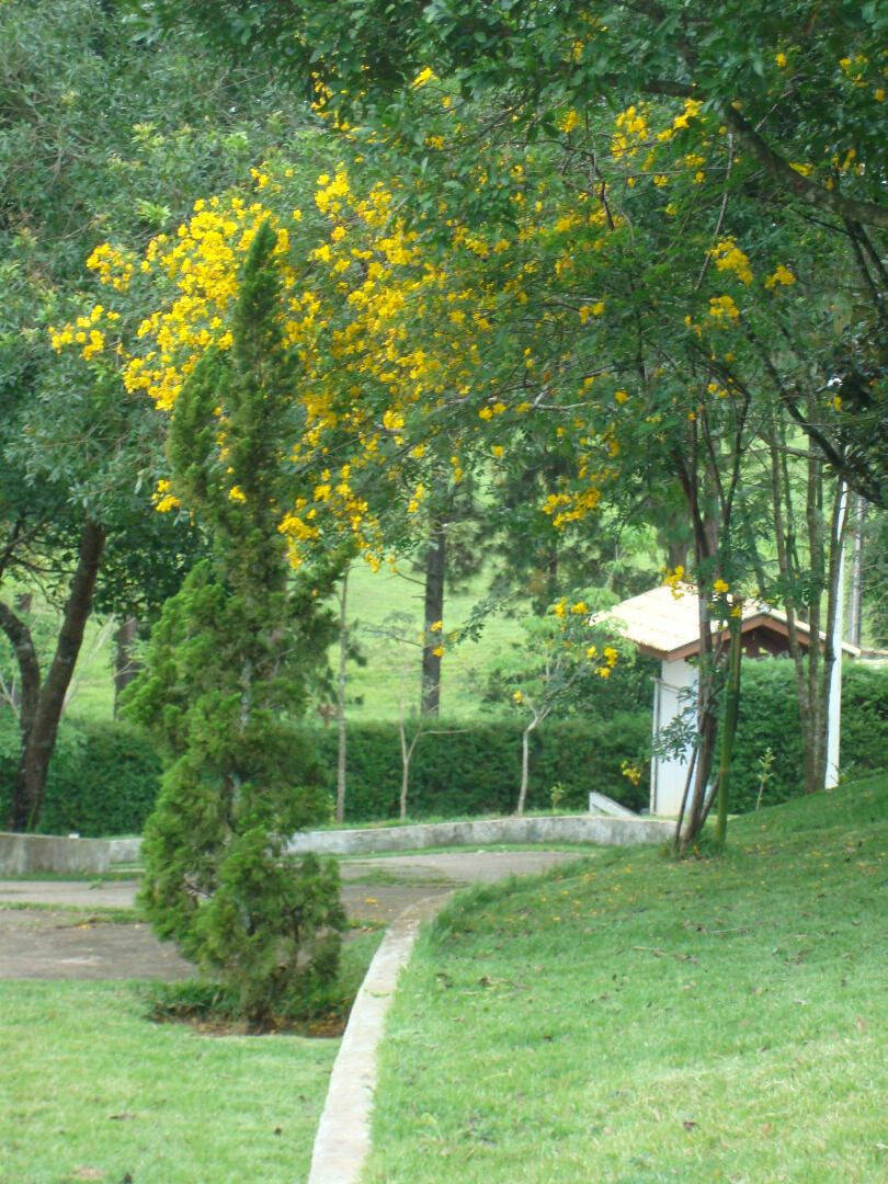 Chácara, 5 quartos, 2 hectares - Foto 15