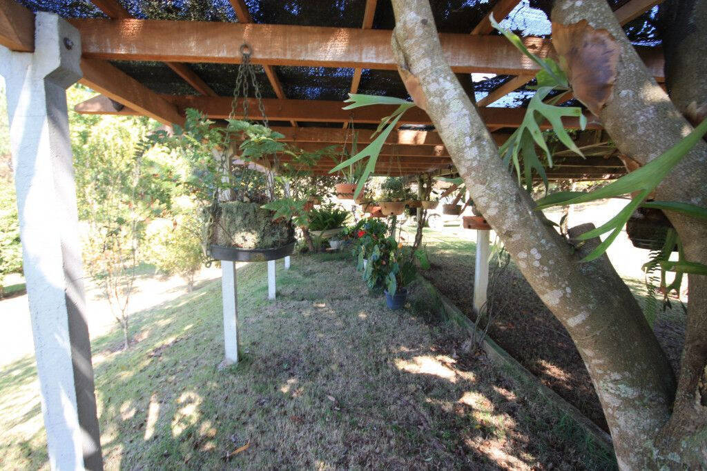 Chácara, 5 quartos, 2 hectares - Foto 32