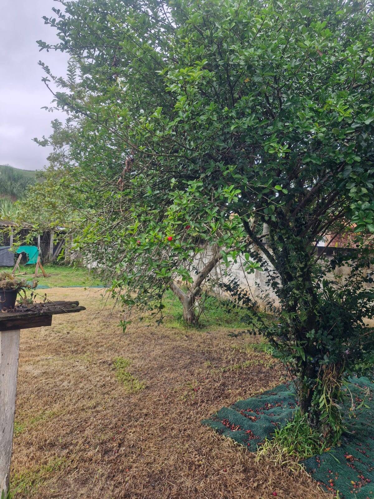Sobrado, 3 quartos, 228 m² - Foto 11