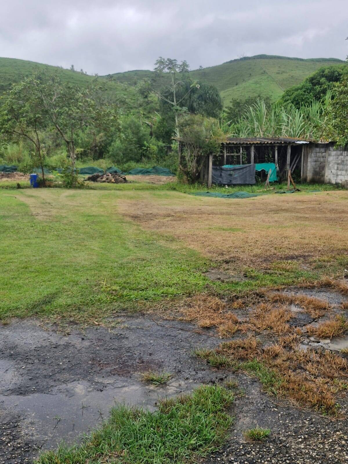 Sobrado, 3 quartos, 228 m² - Foto 13