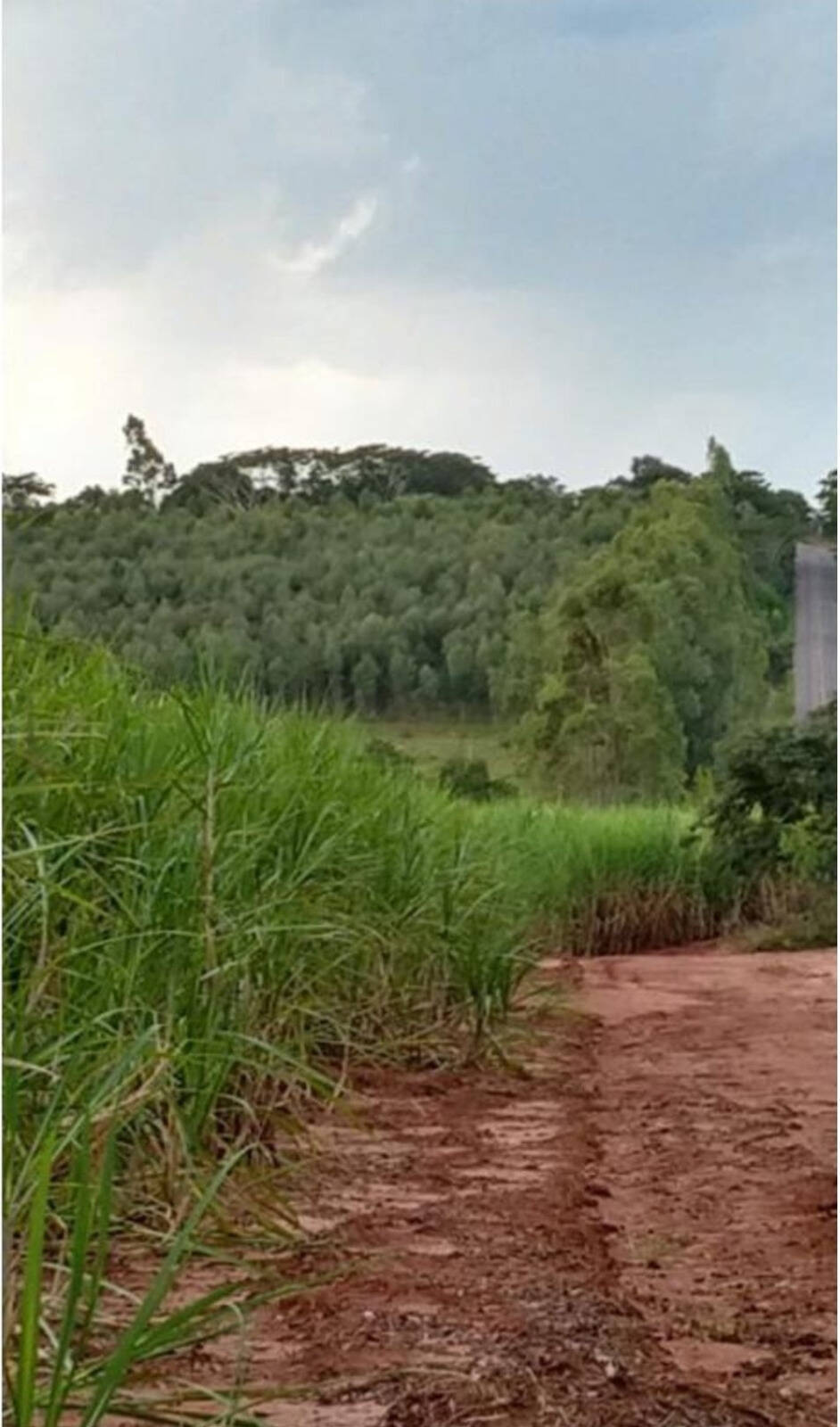 Terreno, 40 m² - Foto 5