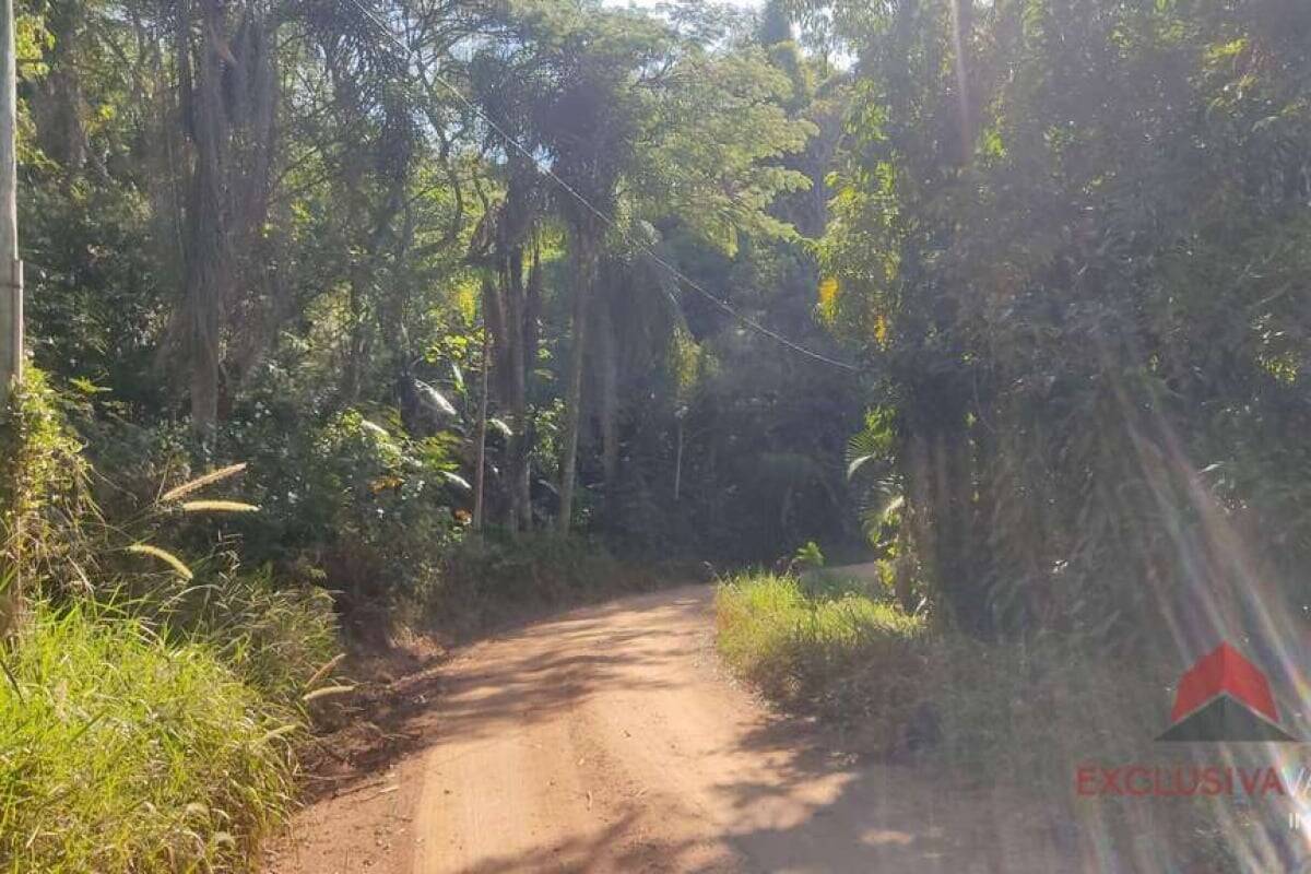 Terreno, 5000 m² - Foto 5