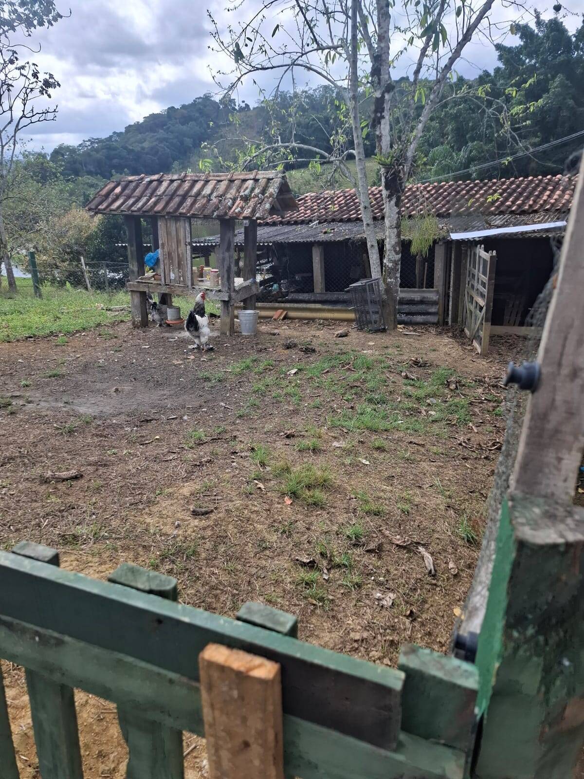 Fazenda, 65 m² - Foto 11