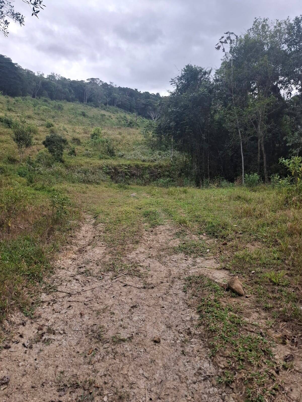 Fazenda, 65 m² - Foto 17