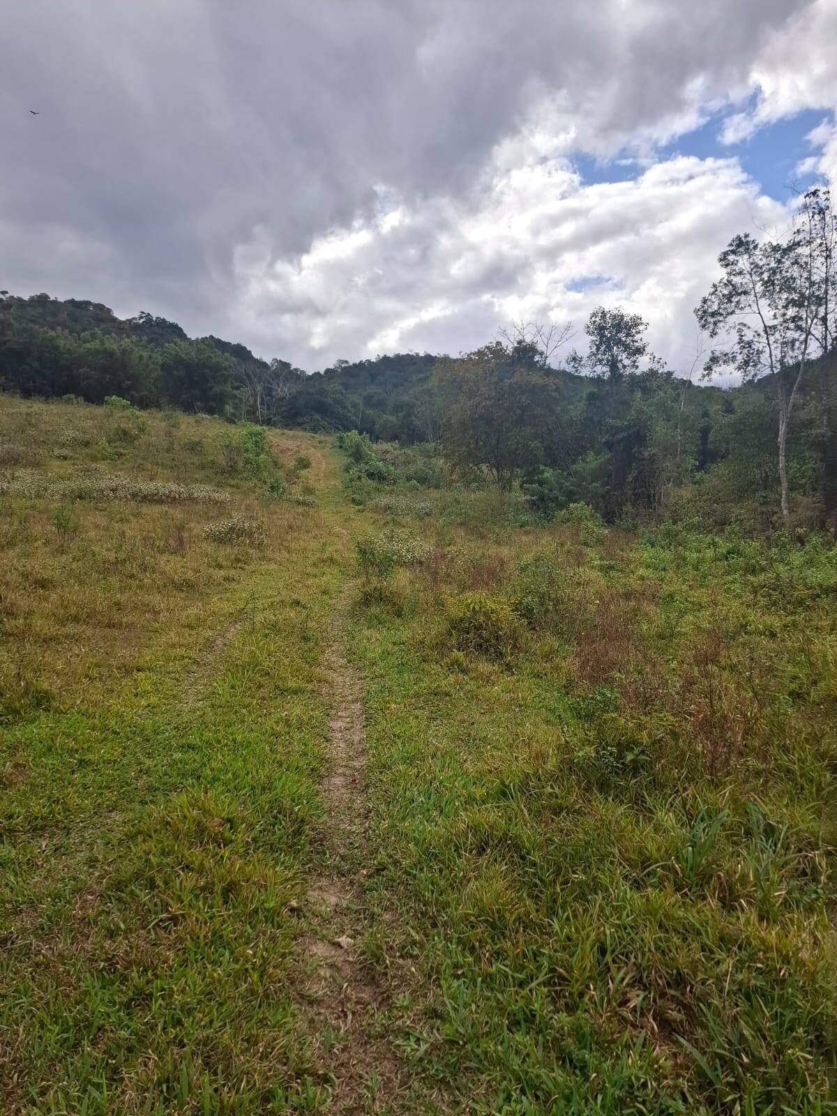 Fazenda, 65 m² - Foto 18
