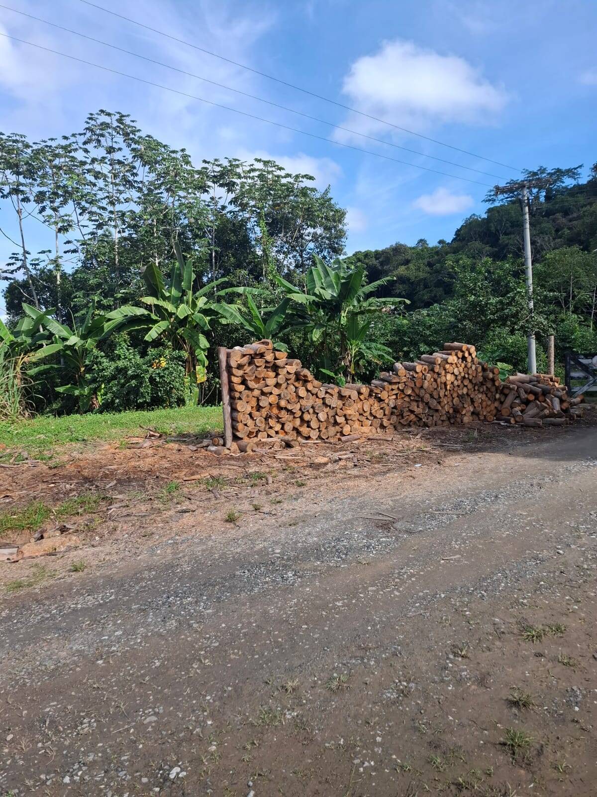 Fazenda, 250 m² - Foto 3
