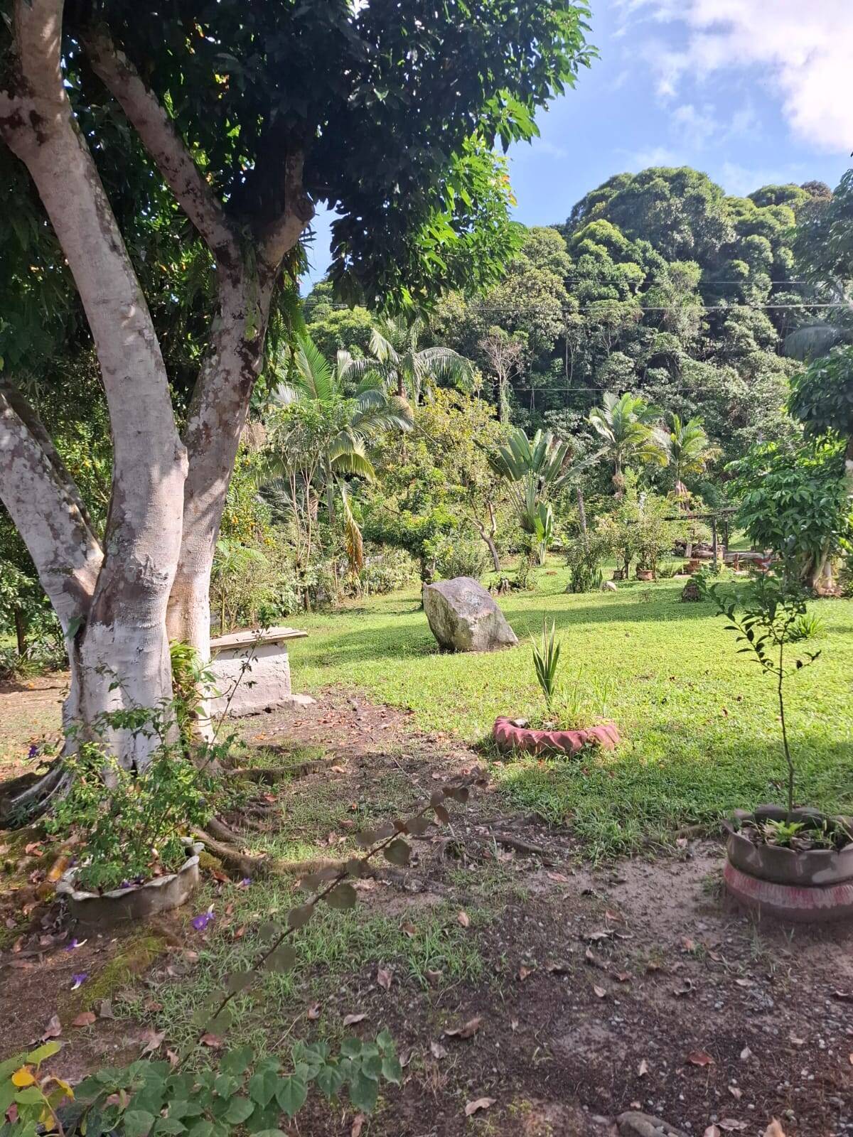 Fazenda, 250 m² - Foto 5
