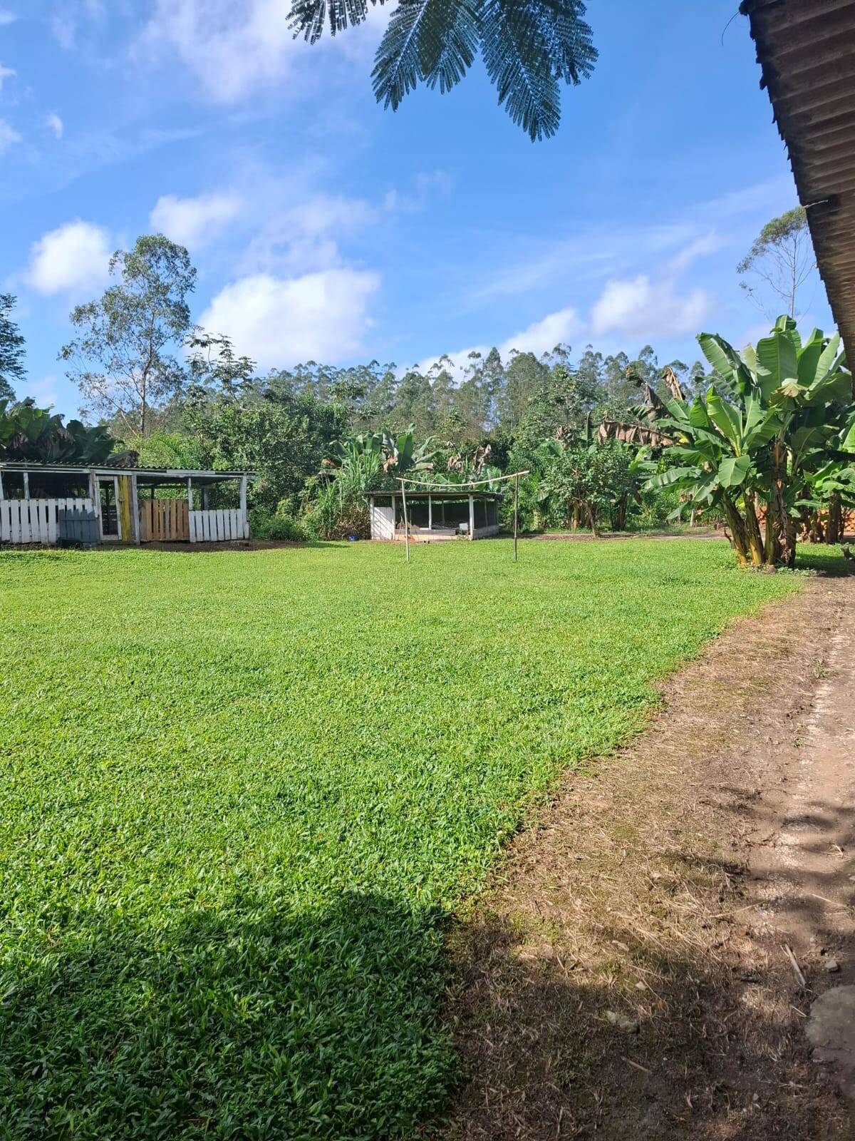 Fazenda, 250 m² - Foto 8