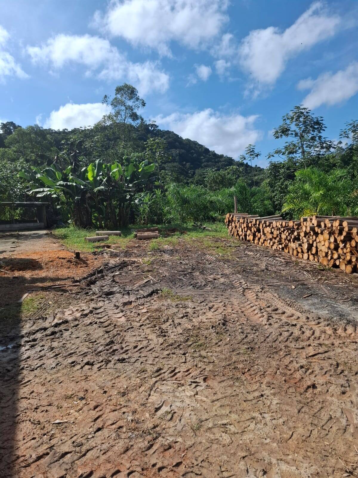 Fazenda, 250 m² - Foto 10