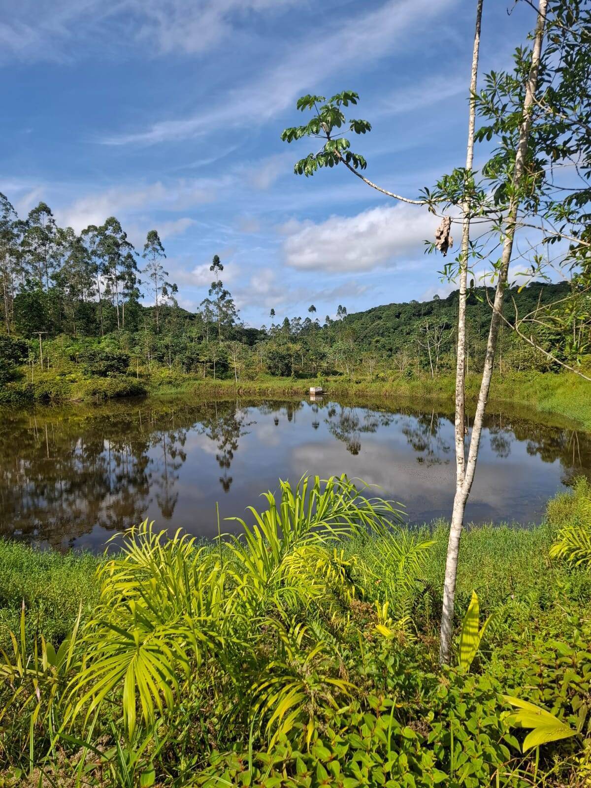 Fazenda, 250 m² - Foto 12