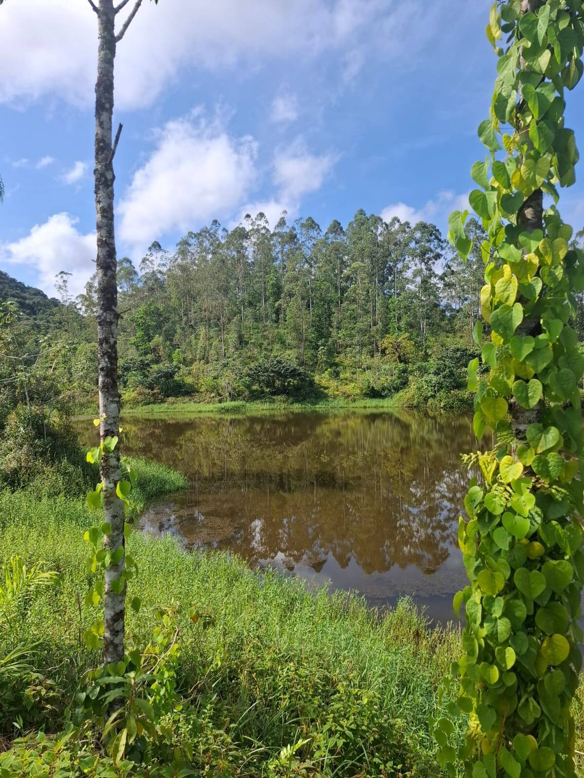 Fazenda, 250 m² - Foto 14