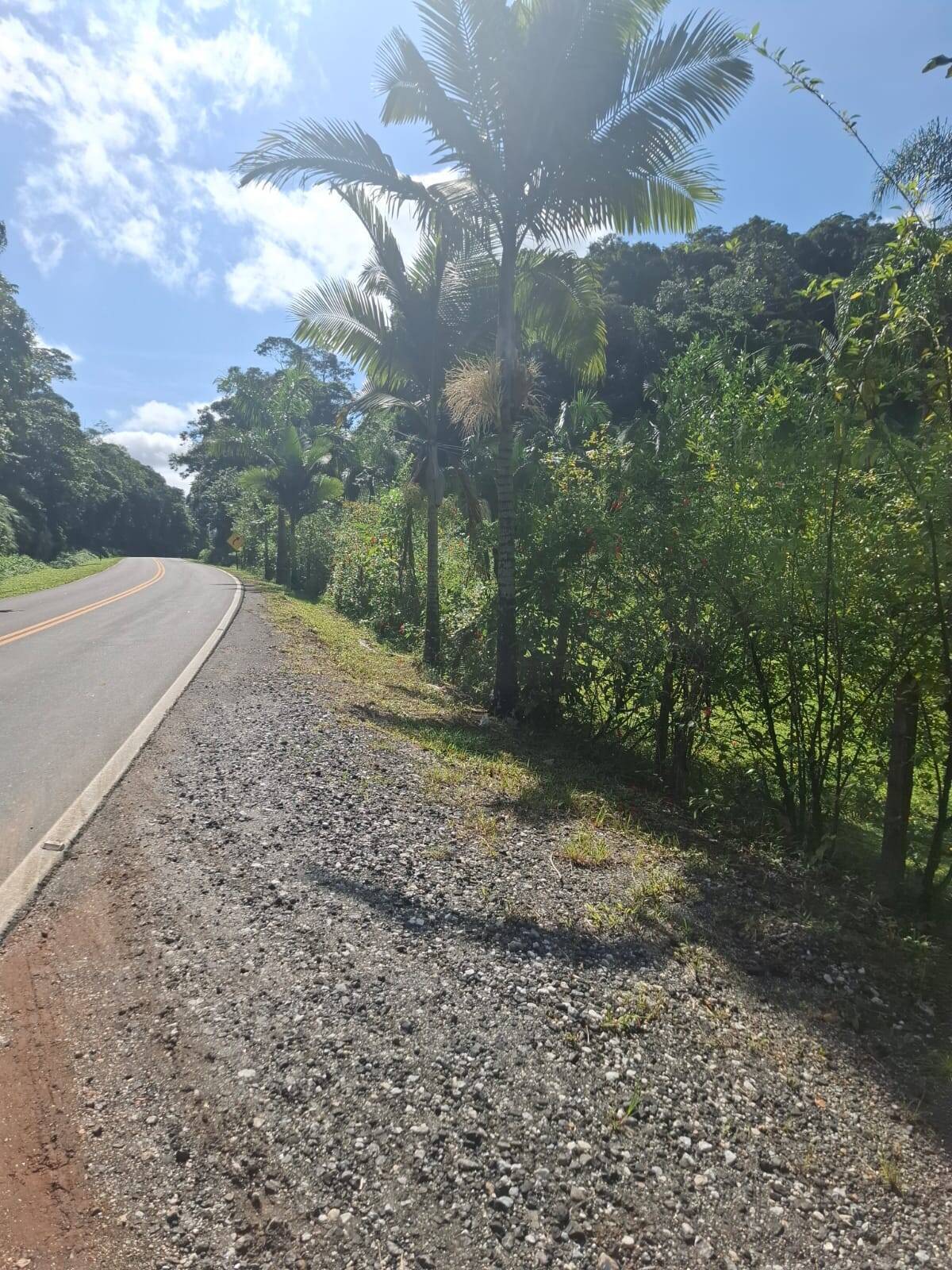 Fazenda, 250 m² - Foto 16