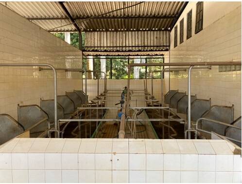 Fazenda, 78 m² - Foto 14