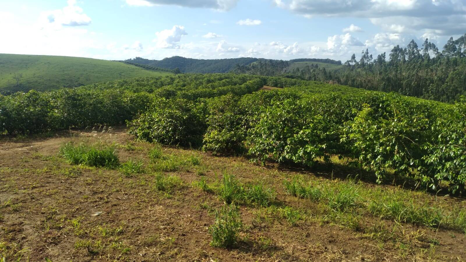 Terreno, 163 m² - Foto 1