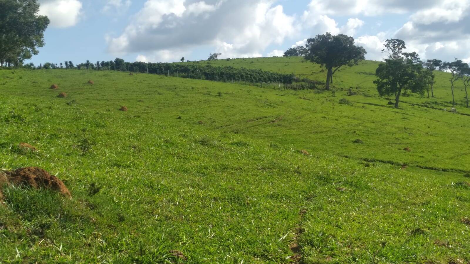 Terreno, 163 m² - Foto 4
