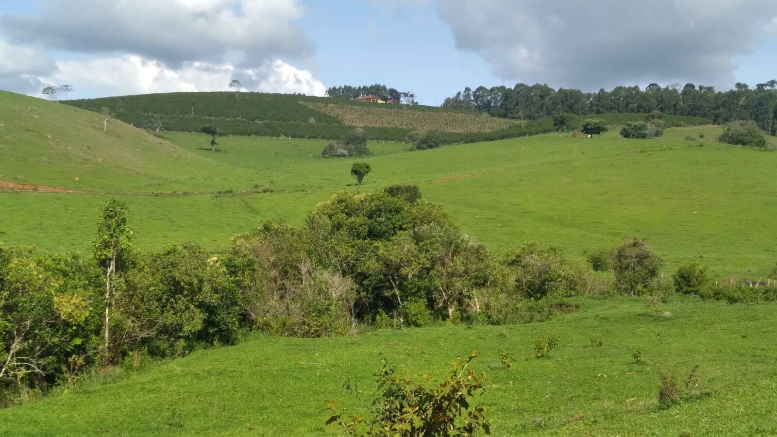 Terreno, 163 m² - Foto 8