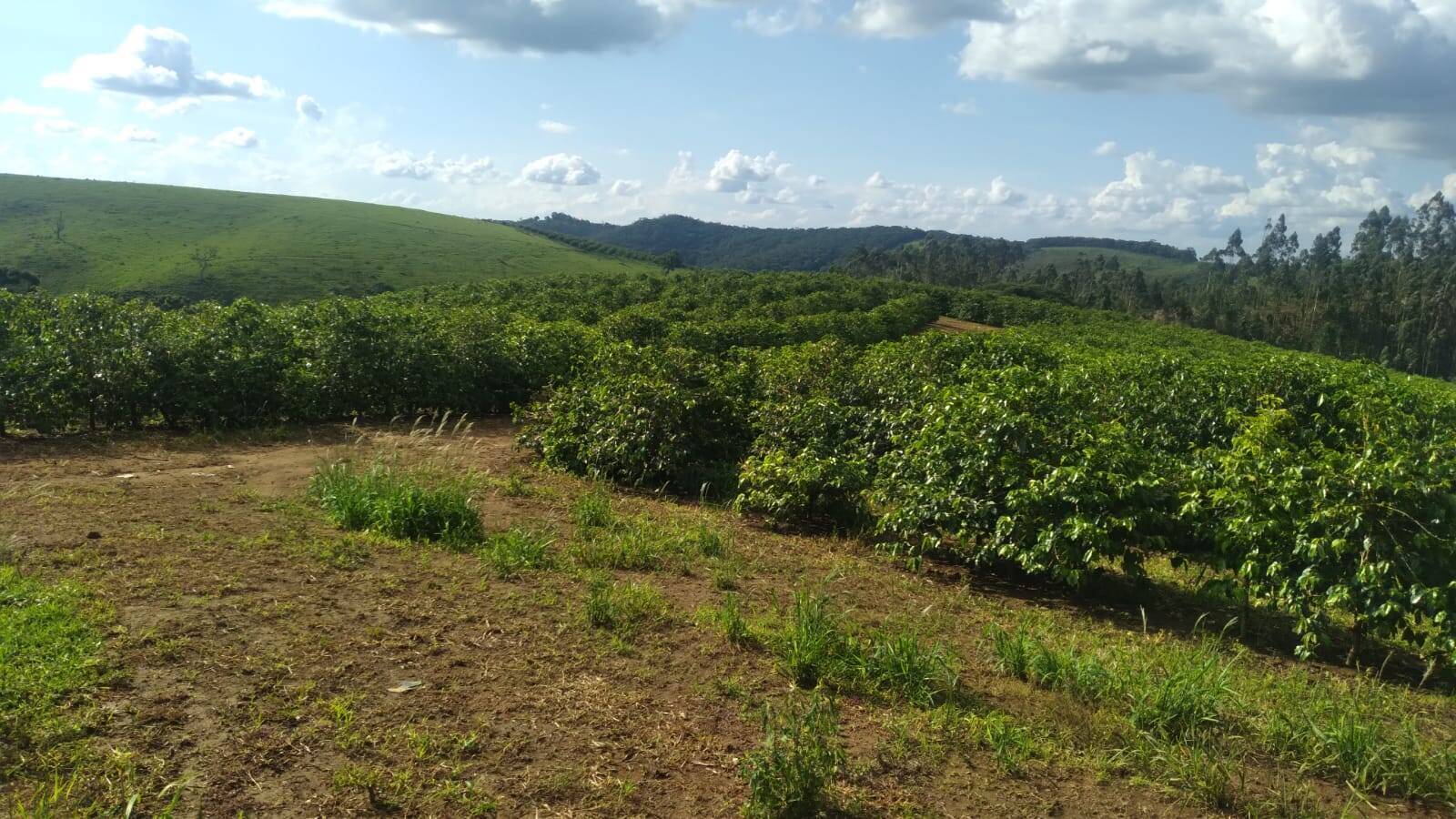 Terreno, 163 m² - Foto 11