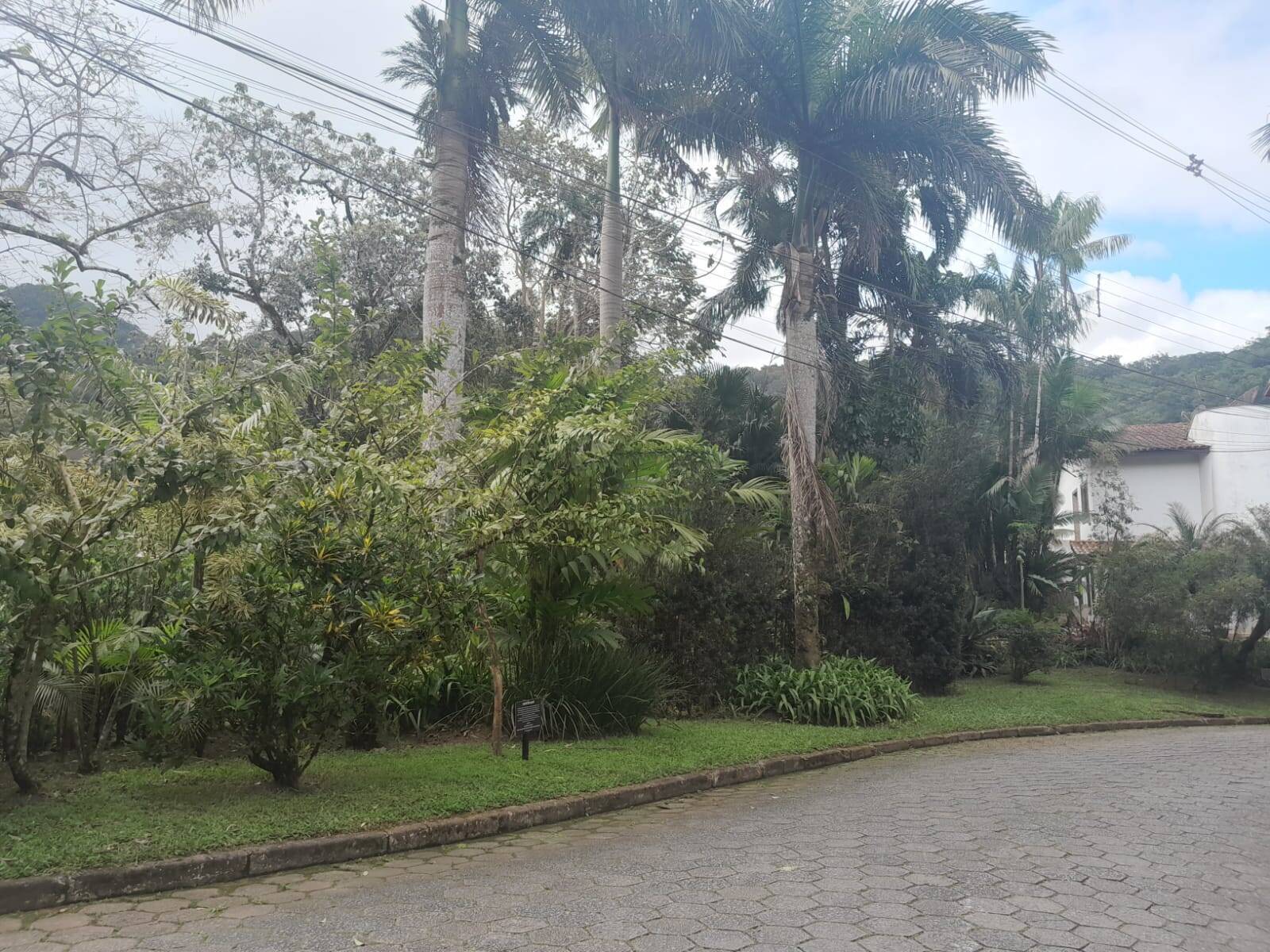 Terreno, 403 m² - Foto 3
