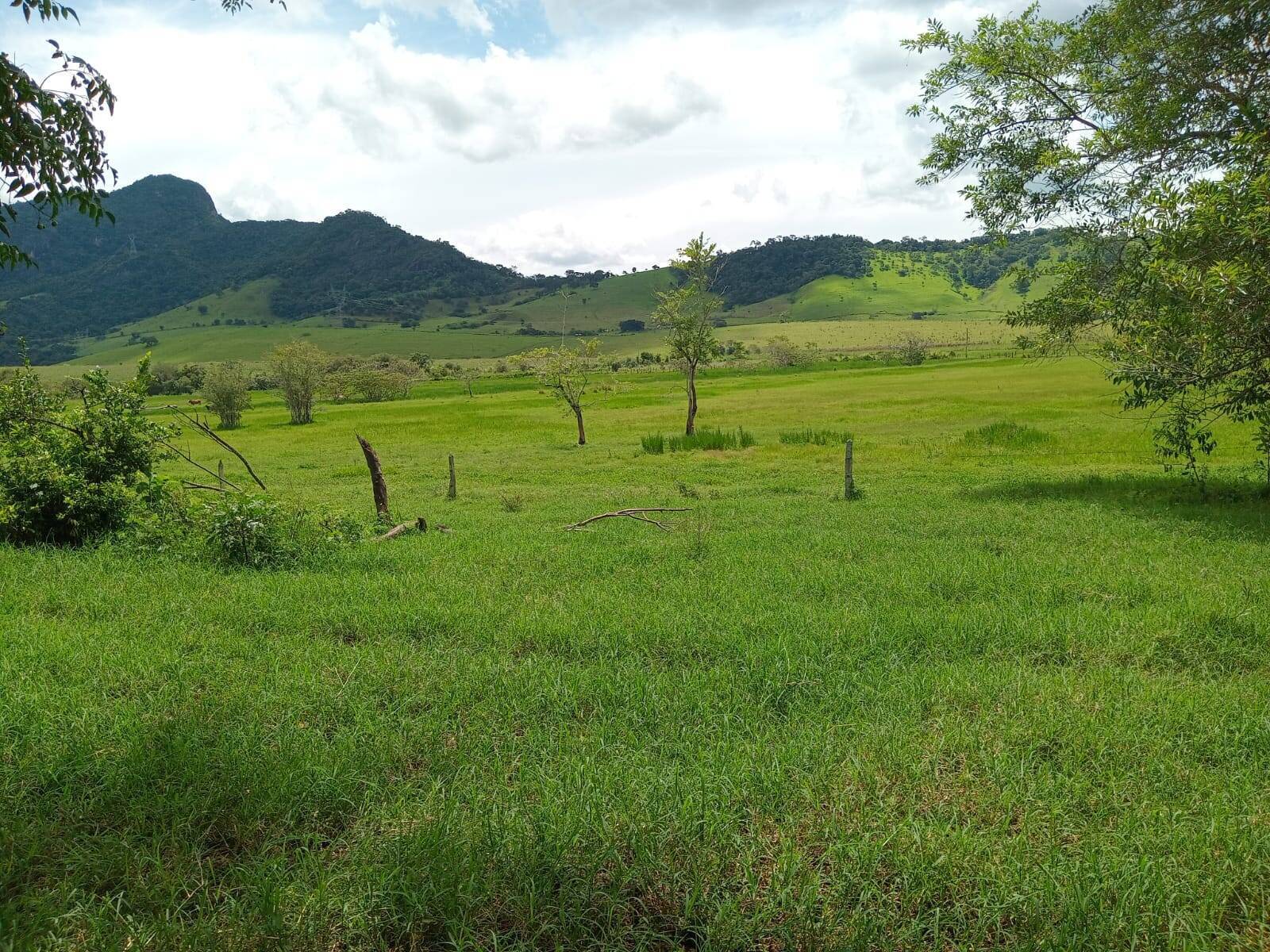 Fazenda, 81 m² - Foto 3