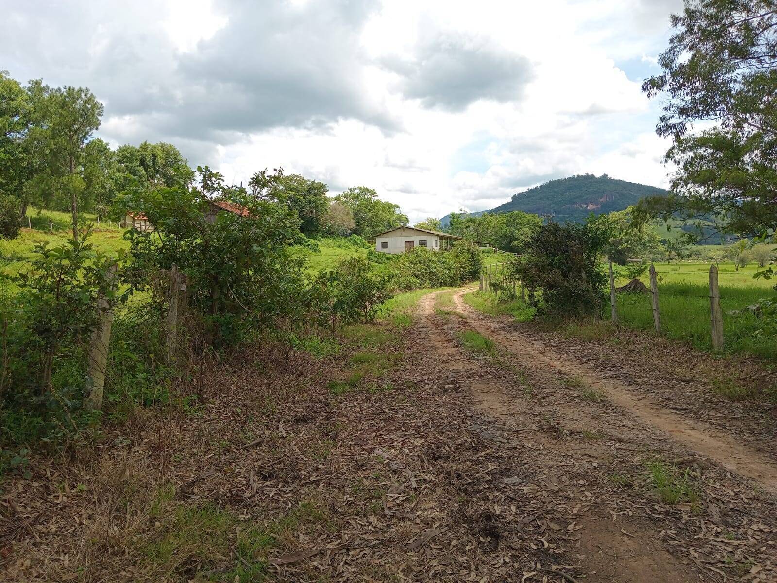 Fazenda, 81 m² - Foto 7