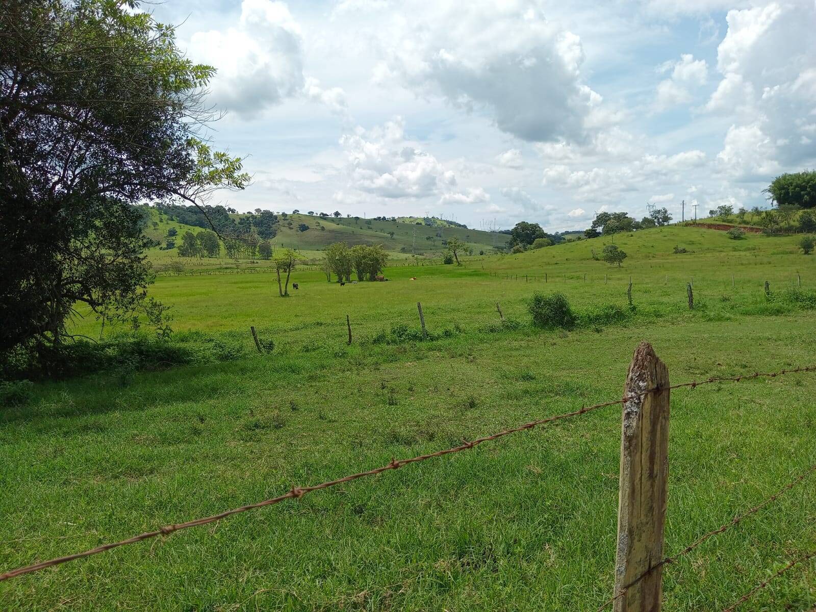 Fazenda, 81 m² - Foto 9
