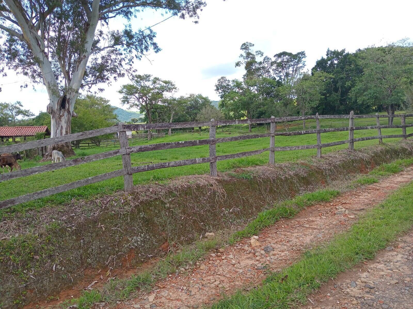Fazenda, 81 m² - Foto 8