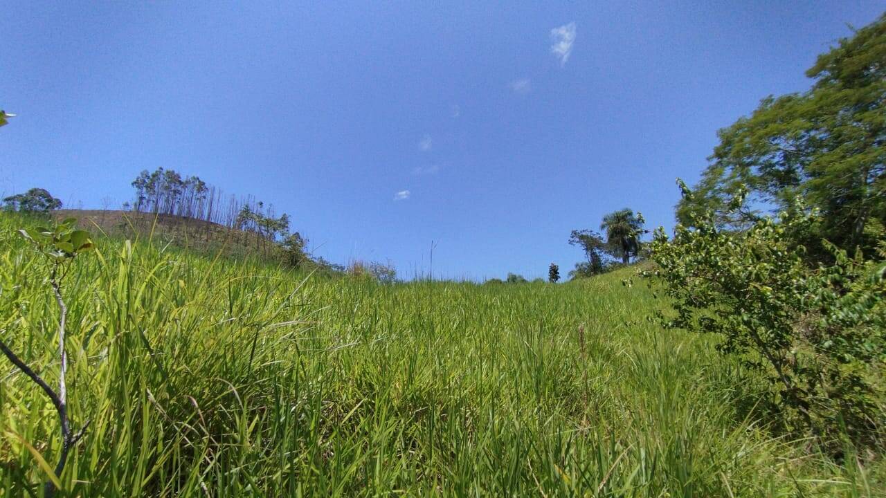 Fazenda, 300 m² - Foto 2