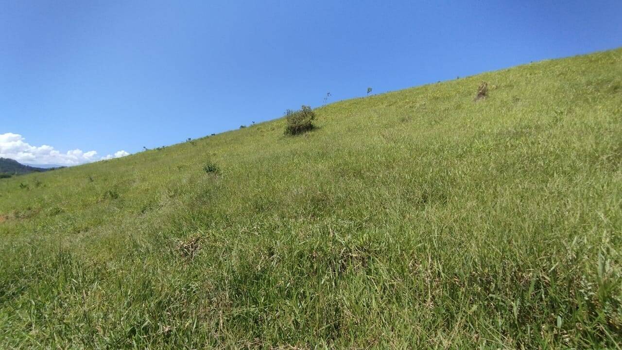Fazenda, 300 m² - Foto 7